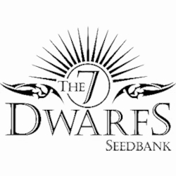 The 7 Dwarfs Seedbank logo