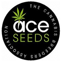 Read more about the article Ace Seeds