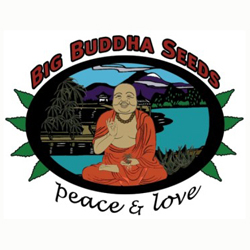 Big Buddha Seeds logo