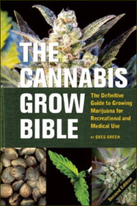 Read more about the article Outdoor growing