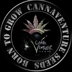 Cannaventure Seeds logo