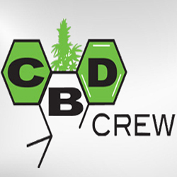 Read more about the article CBD Crew