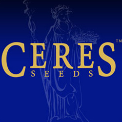 Read more about the article Ceres Seeds