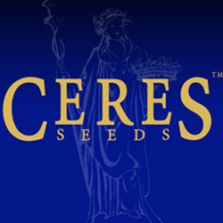 Ceres Seeds logo