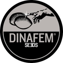 Dinafem Seeds logo