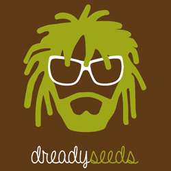 Dready Seeds logo