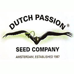 Dutch Passion logo