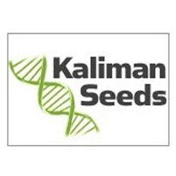 Kaliman Seeds logo