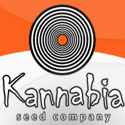 Kannabia Seeds logo