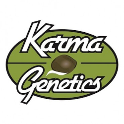 Karma Genetics logo