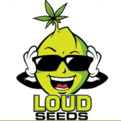 Loud Seeds logo