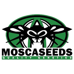 Mosca Seeds logo