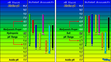 pH chart