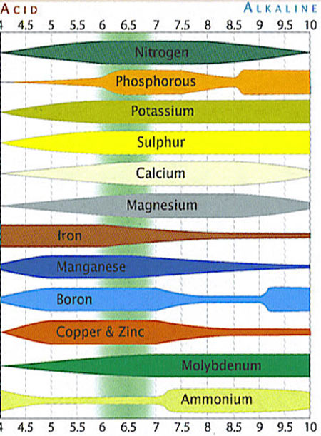 ph chart