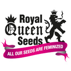 Royal Queen Seeds logo