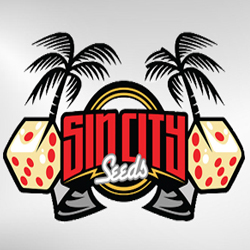 Sin City Meds logo