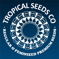 Tropical Seeds logo
