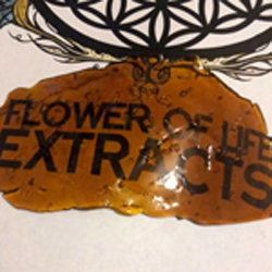 Flower of Life Extracts logo