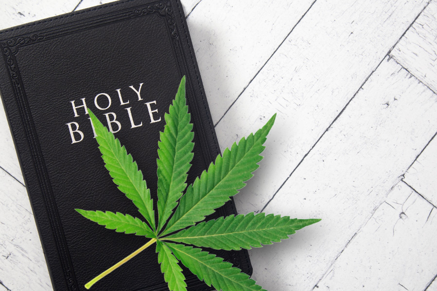 marijuana holy bible