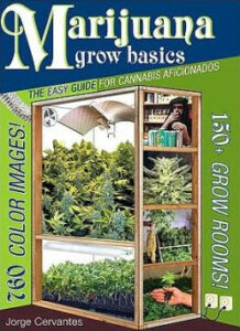 Read more about the article Grow Gear