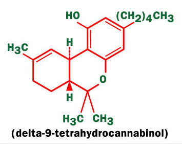 tetrahydrocannabinol thc molecule